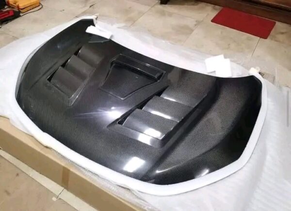 CARBON FIBER HOOD ASSEMBLY •  TSR-STYLE S - Image 2