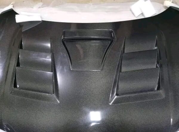 CARBON FIBER HOOD ASSEMBLY •  TSR-STYLE S